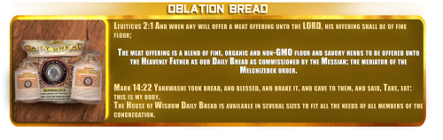 MEAT OFFERING - A Blend of organic, non-GMO flour and spices