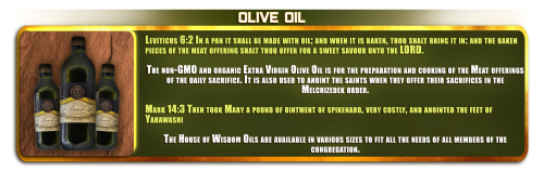 EXTRA VIRGIN OLIVE OIL - Select oil fit for cooking and anointing